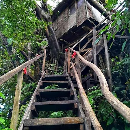 Castle Tree House And Bungalow White Sands 外观 照片