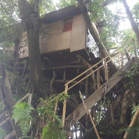 Castle Tree House And Bungalow White Sands 客房 照片