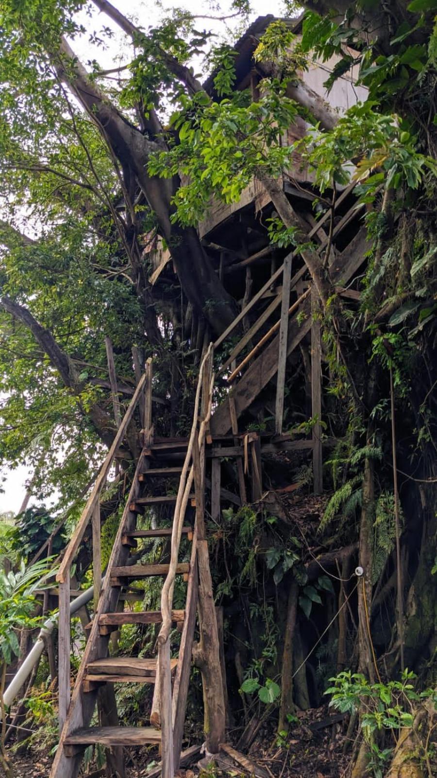 Castle Tree House And Bungalow White Sands 外观 照片