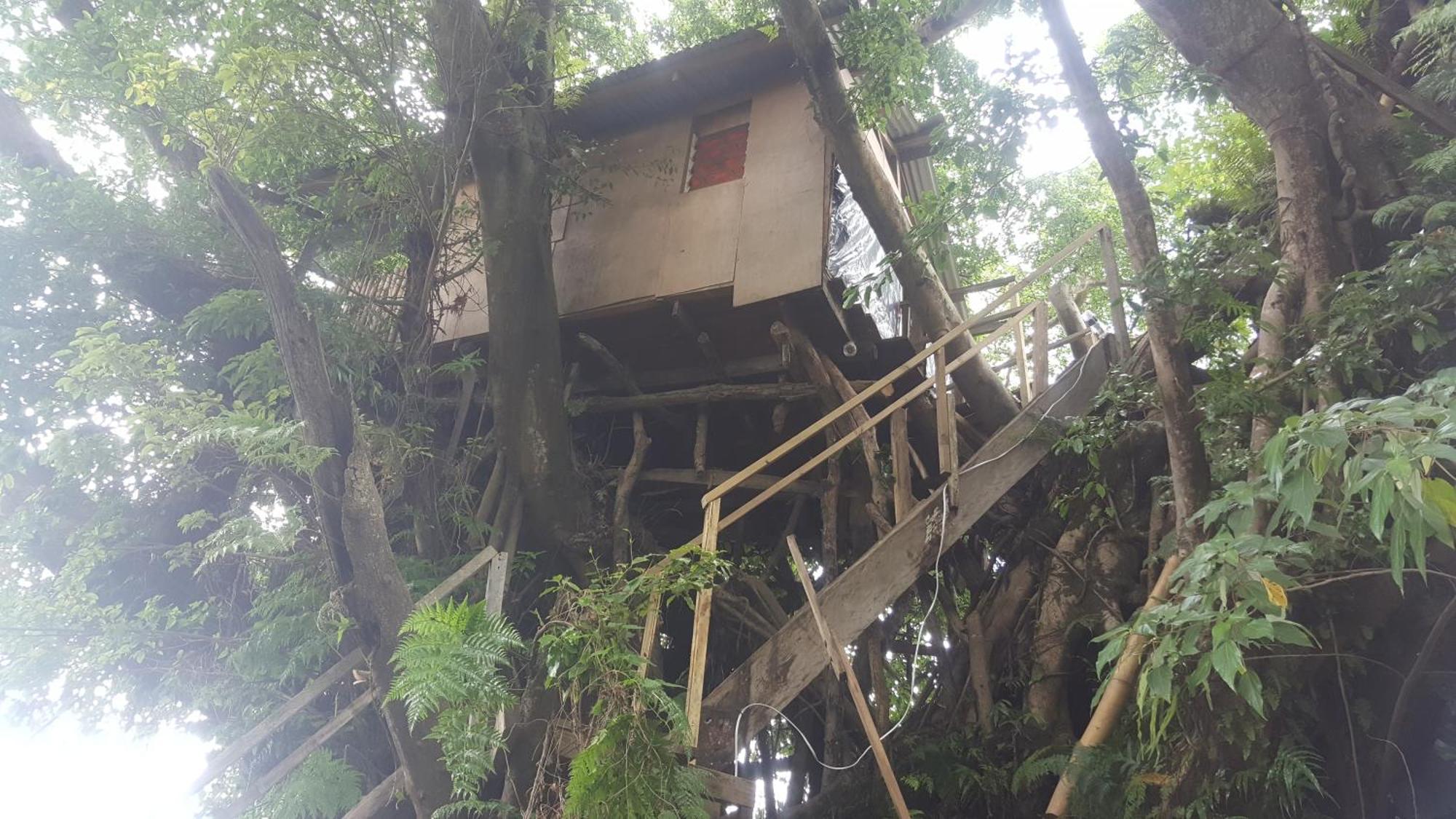 Castle Tree House And Bungalow White Sands 客房 照片