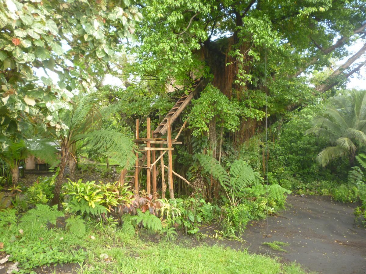 Castle Tree House And Bungalow White Sands 外观 照片