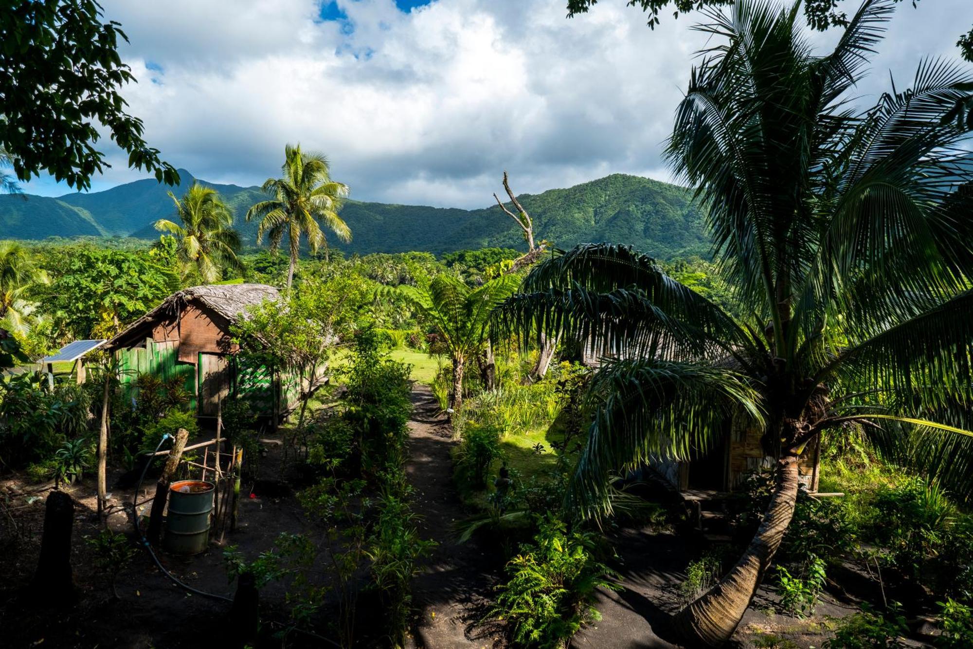 Castle Tree House And Bungalow White Sands 外观 照片