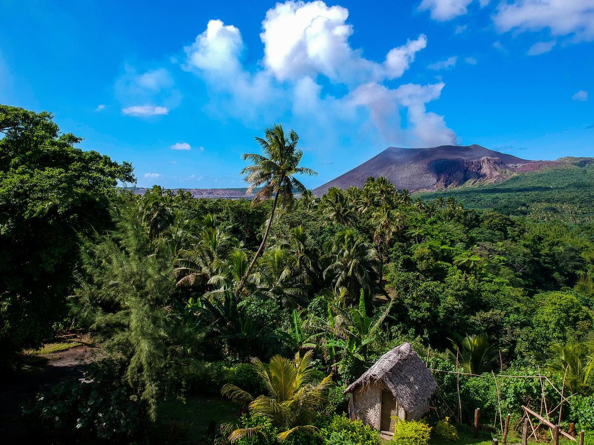 Castle Tree House And Bungalow White Sands 外观 照片