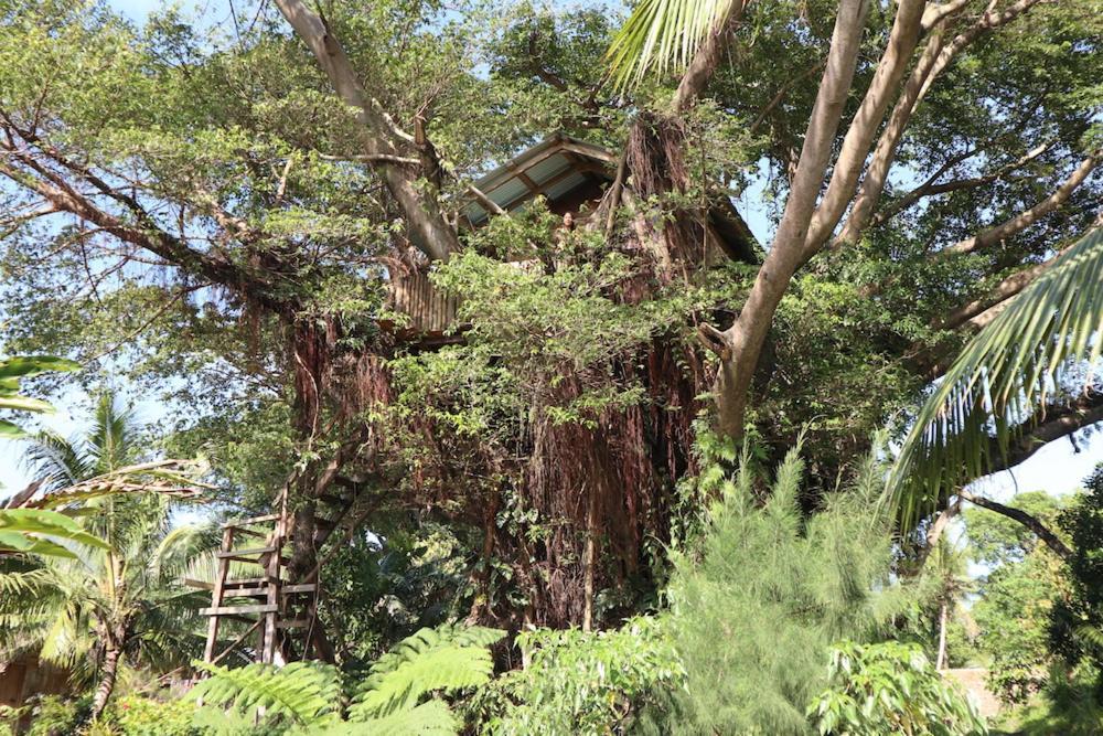 Castle Tree House And Bungalow White Sands 外观 照片