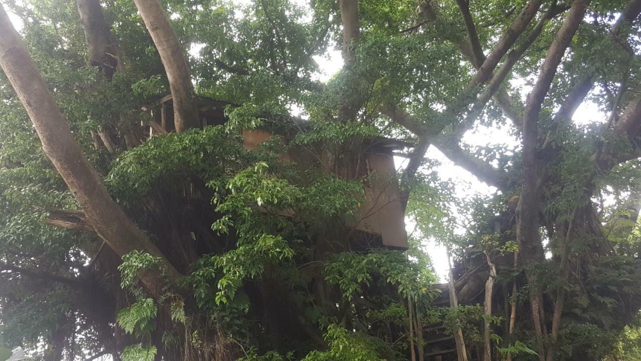Castle Tree House And Bungalow White Sands 外观 照片