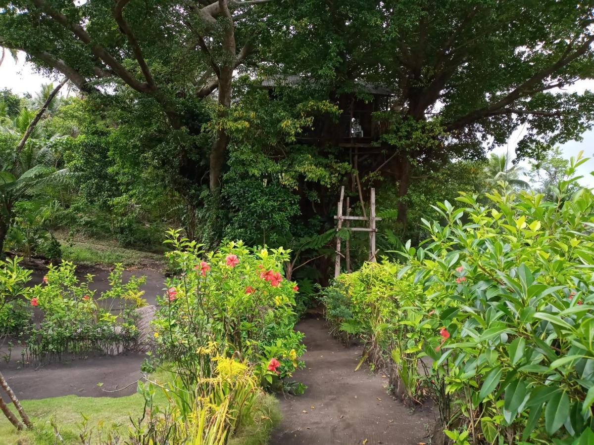 Castle Tree House And Bungalow White Sands 外观 照片